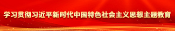 自慰喷水白虎丝袜流水屁眼学习贯彻习近平新时代中国特色社会主义思想主题教育